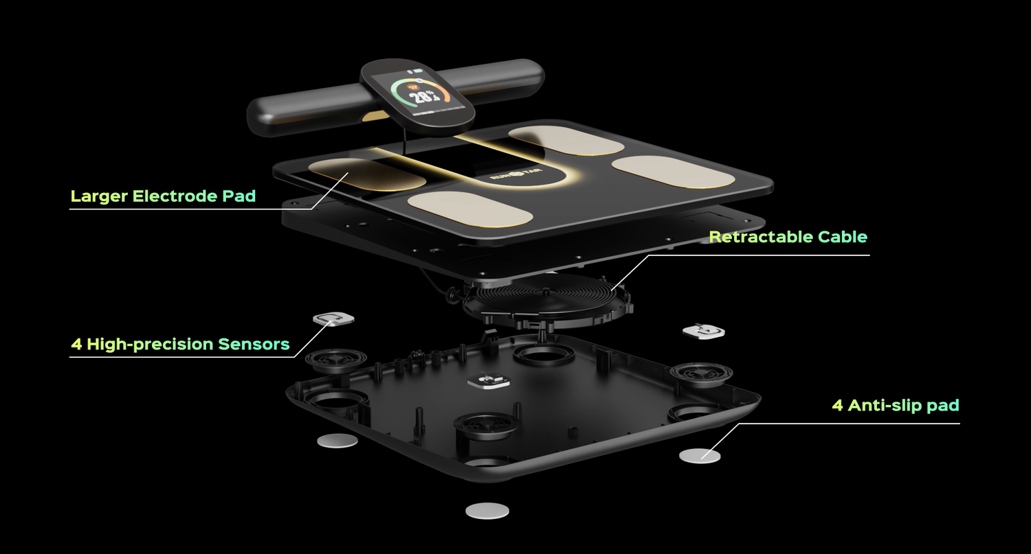 How Much Body Fat Can You Lose in a Month? Track Your Progress with the Right Scale