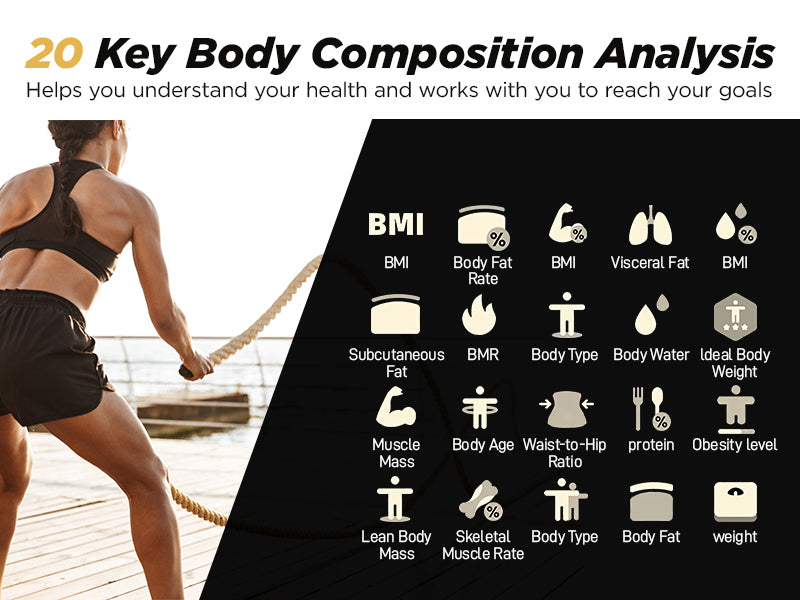 20 key body composition analysis