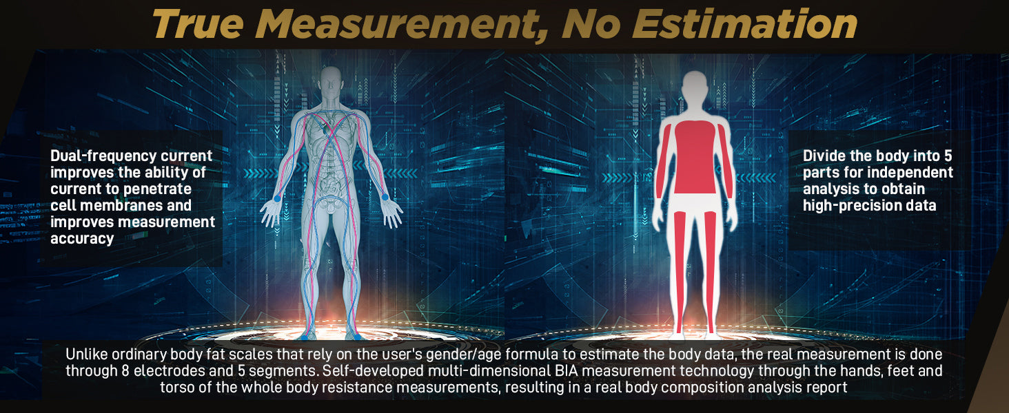 Dual-frequency 5 segment body improves the measurement accuracy
